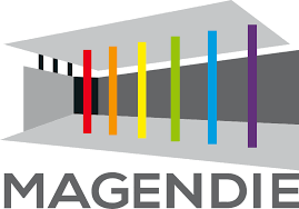 logo du lycée Magendie de Bordeaux